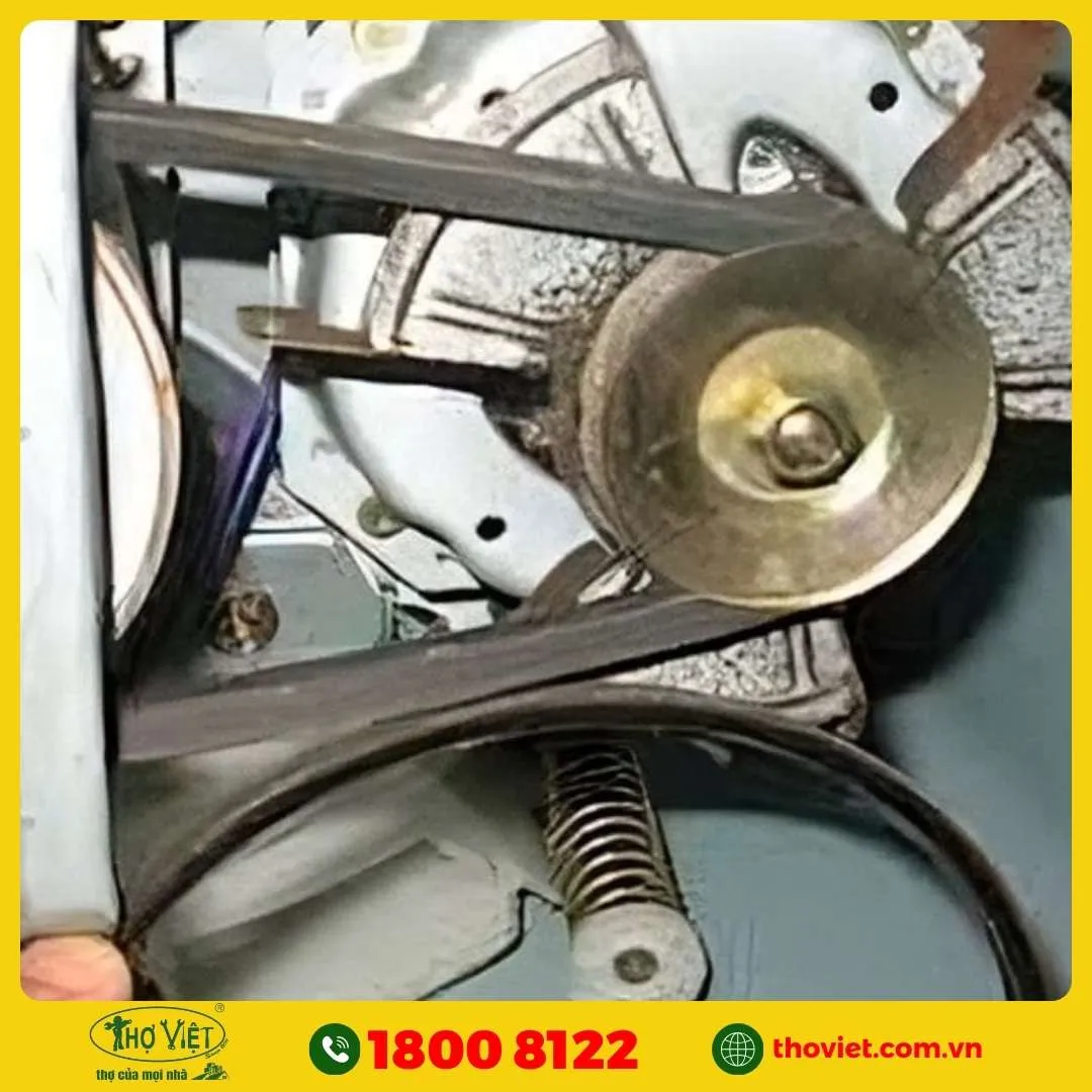 Đứt dây curoa hoặc hỏng motor