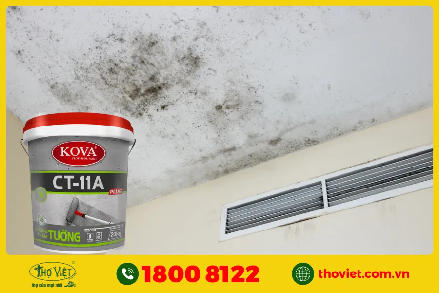 Sơn chống thấm trần nhà Kova CT - 11A