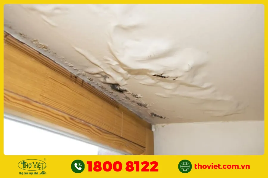 Dấu hiệu trần nhà bị dột