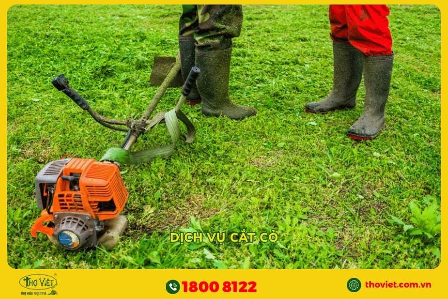 Dịch vụ cắt cỏ