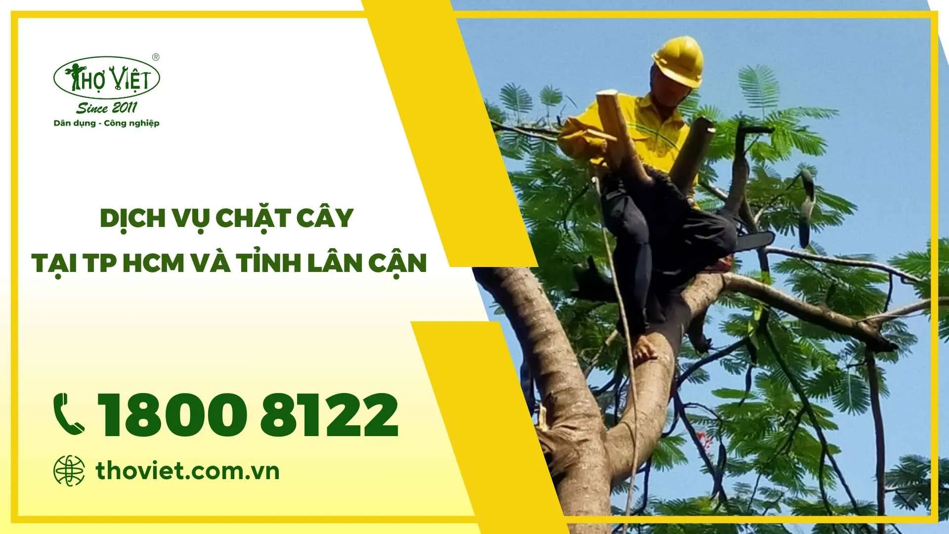 Dịch vụ chặt cây