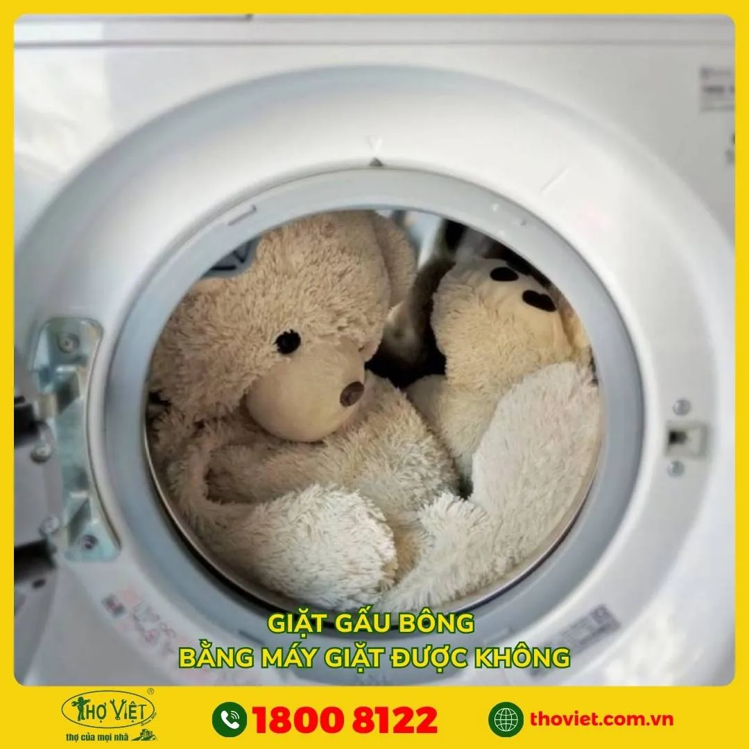Giặt gấu bông bằng máy giặt được không