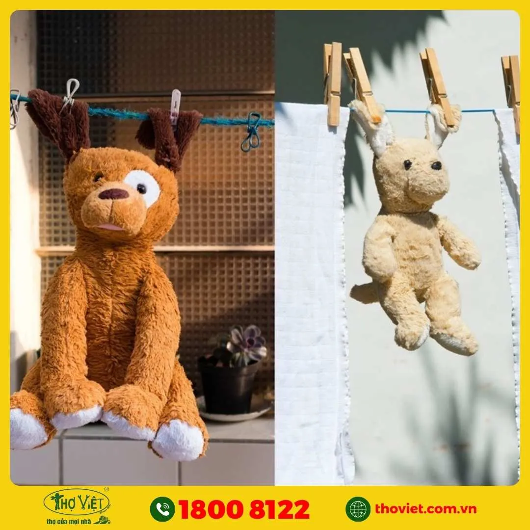 Sấy khô gấu bông