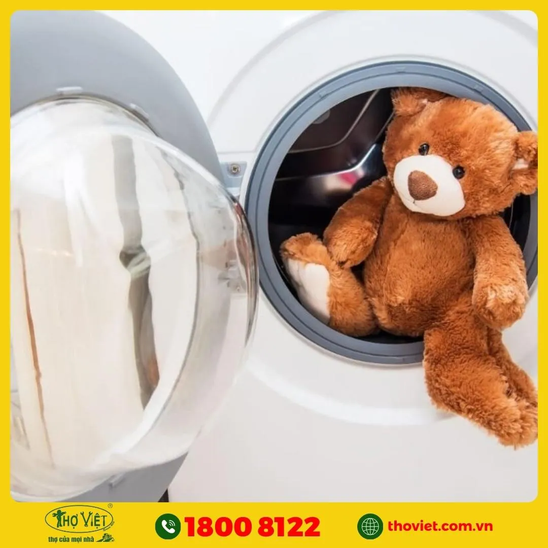 Thực hiện giặt gấu bông