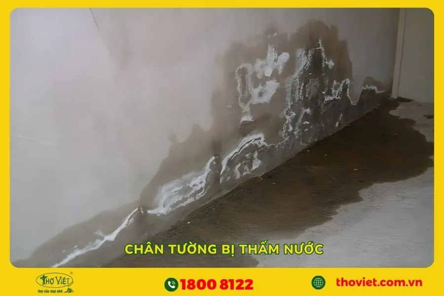 Chân tường bị thấm nước