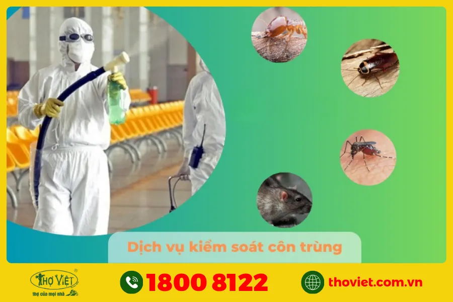 Dịch vụ phun xịt côn trùng