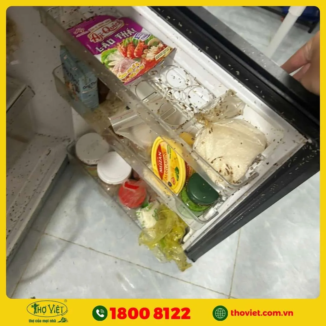Hướng dẫn cách vệ sinh dòi trong tủ lạnh 