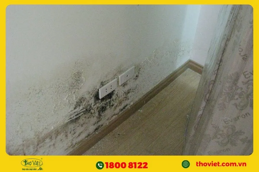 Tác hại khi chân tường bị thấm nước