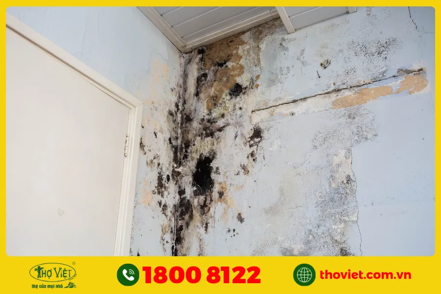 Nguyên nhân tường nhà bị thấm nước