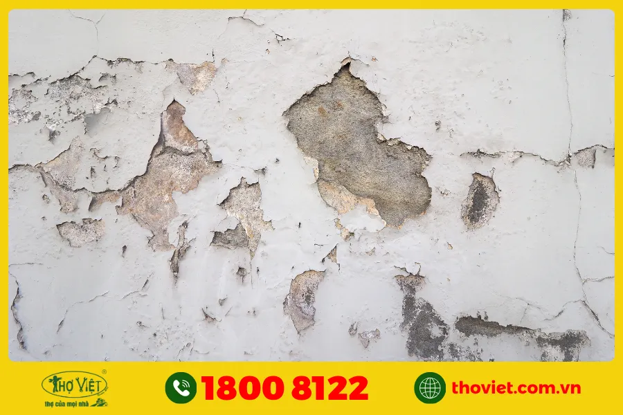 Dấu hiệu nhận biết tường nhà bị thấm nước