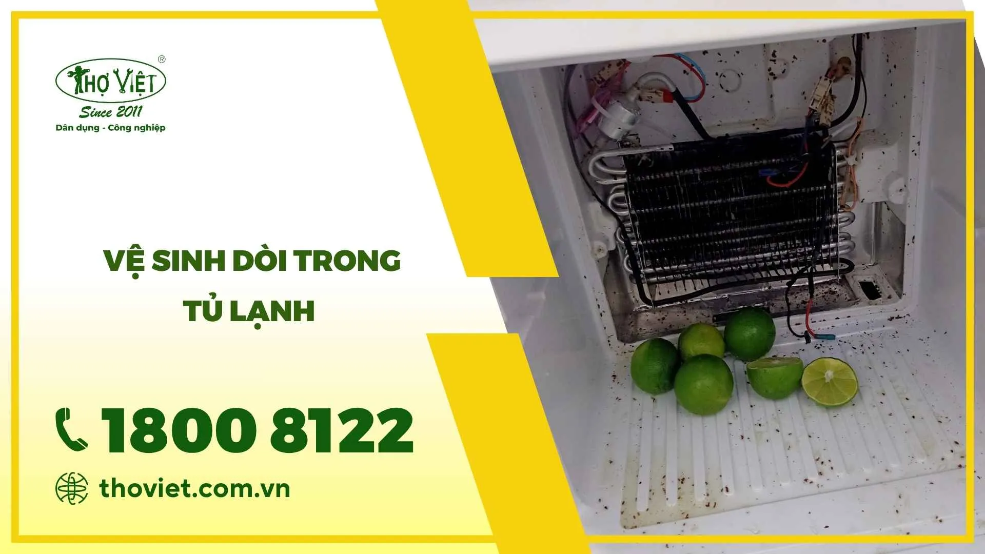 Vệ sinh dòi trong tủ lạnh