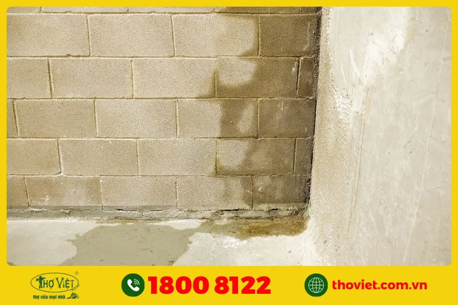Hơi ẩm từ nền đất (chân tường bị ẩm)