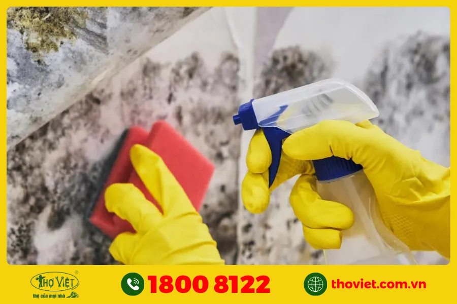 Làm sạch tường rêu mốc bằng Baking Soda