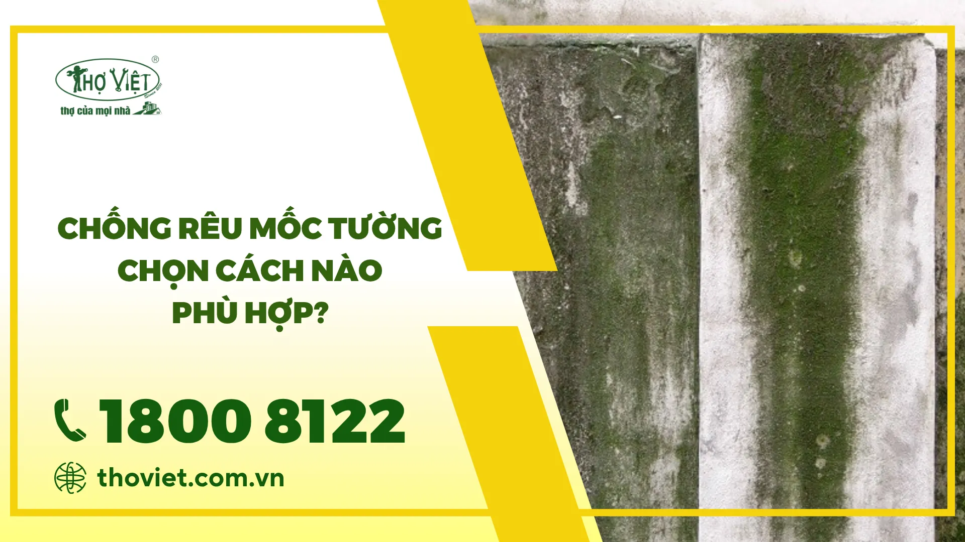 Chống rêu mốc cho tường chọn cách nào phù hợp?