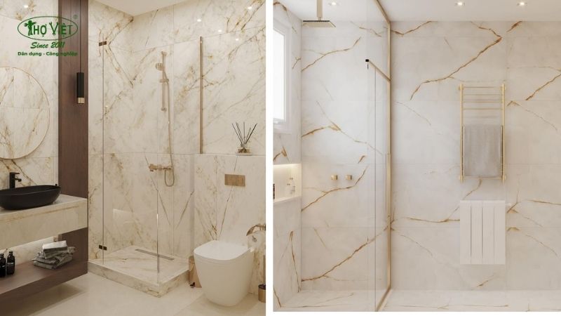 Mẫu nhà vệ sinh vân đá Marble 2