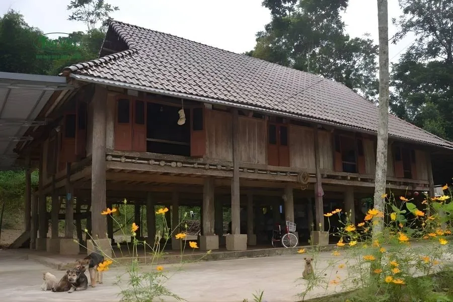 Kiểu nhà sàn của người Mường