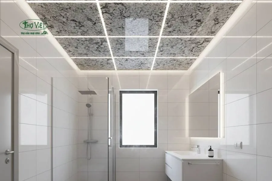 Mẫu trần nhựa nhà vệ sinh vân đá