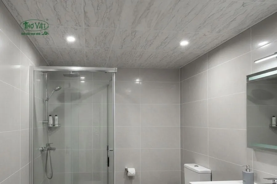 Mẫu trần nhựa nhà vệ sinh vân đá