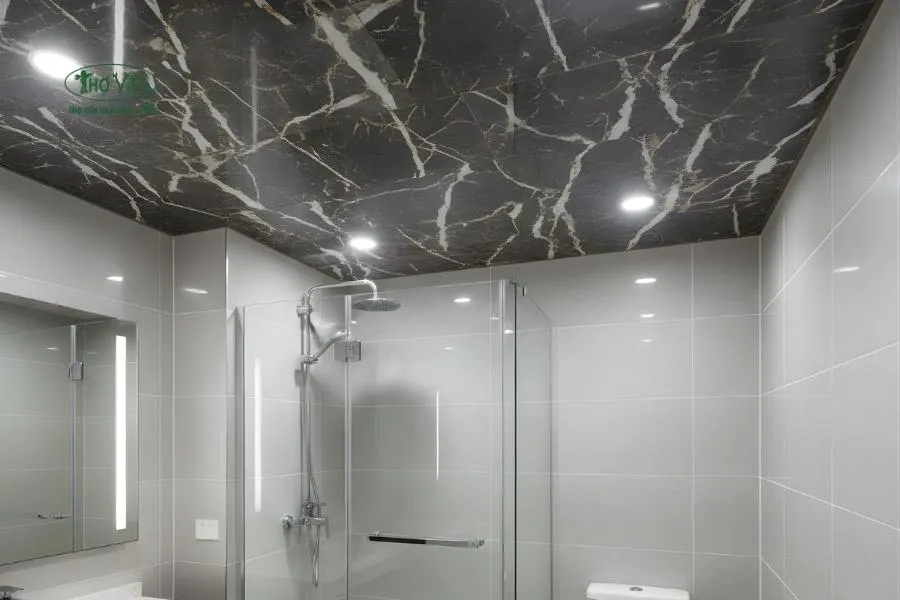 Mẫu trần nhựa nhà vệ sinh vân đá