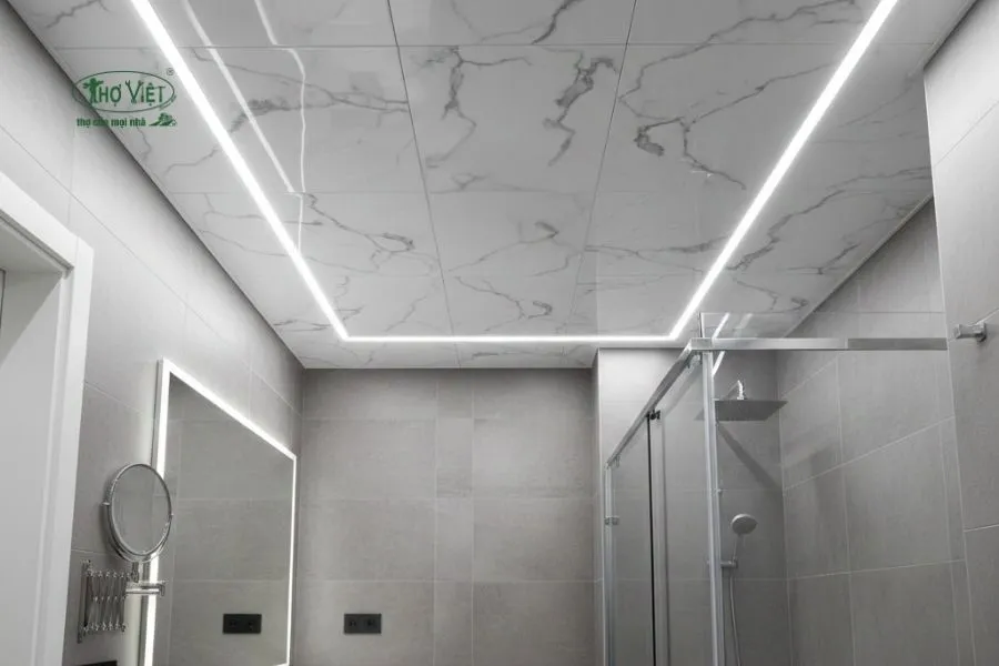 Mẫu trần nhựa nhà vệ sinh vân đá