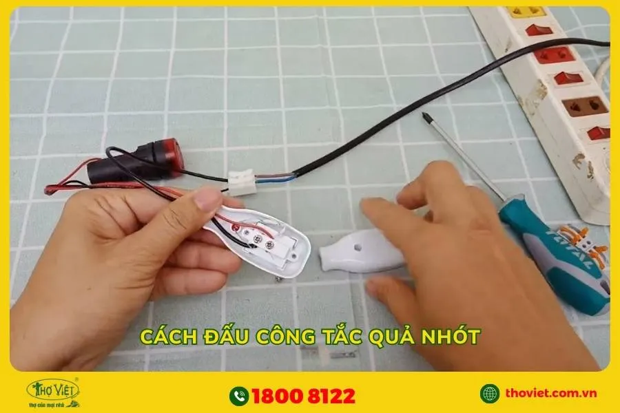 Cách đấu công tắc quả nhót