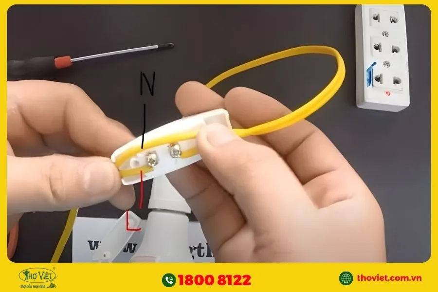 Lưu ý khi sử dụng và đấu công tắc quả nhót