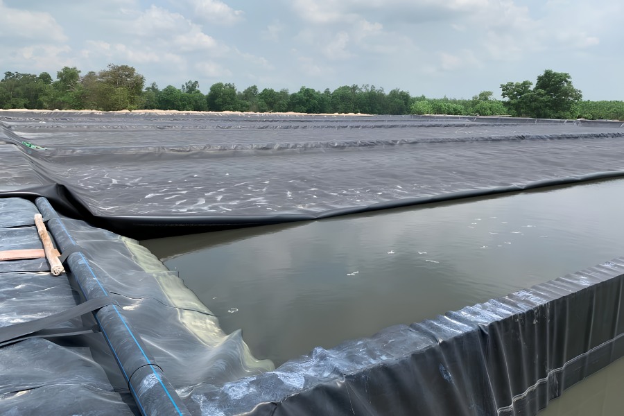 Nhựa tấm HDPE ứng dụng trong nuôi thủy sản